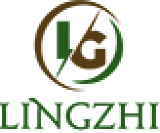 lzg Shop